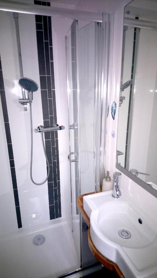 Private Self Catering Studio Newquay New Quay Εξωτερικό φωτογραφία